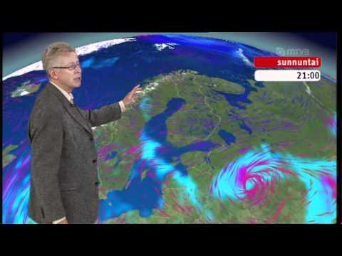 Pekka Pouta ja kärpäsen kakka