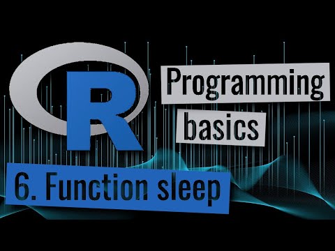 R Programming System Sleep Function