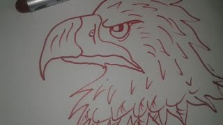 Как нарисовать орла который клюет пищу