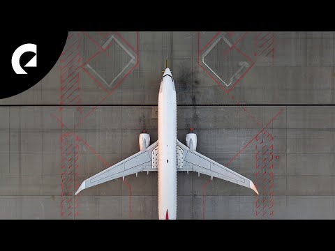 Timothy Infinite - Snorkle