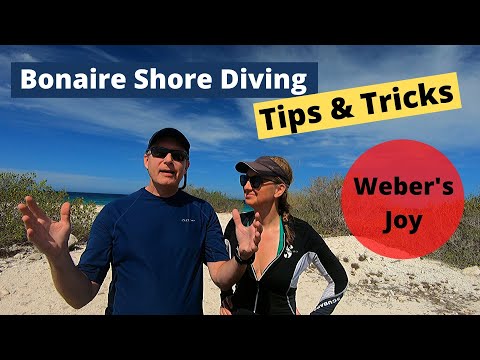 Bonaire Shore Diving Tips & Tricks - Weber's Joy