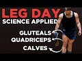 The Most Effective Science-Based Leg Workout Pt. 2 (Quads, Glutes, Hams, Calves) | Science Applied