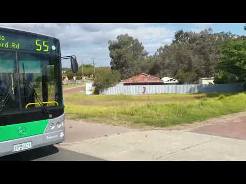 Drag Race | Mercedes-Benz OC500LE (CNG) vs Volvo B8RLE
