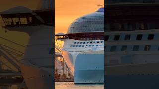 PortMiami departures 🛳️ #travel #travelvlog #cruiseship #fun #party #love #shorts #vacation #yt