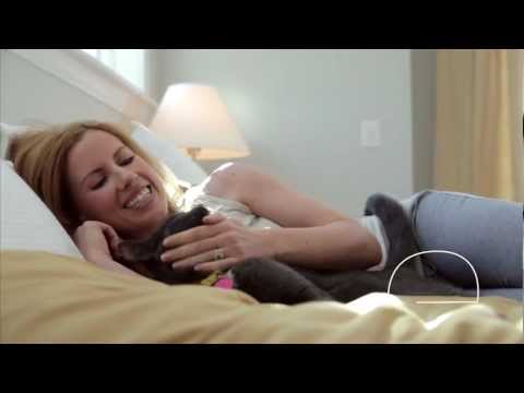 Healthy Metabolism for Spayed and Neutered Cats - Purina ONE®
