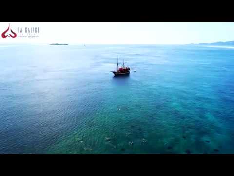 The Manta Rays Raja Ampat - La Galigo Liveaboard Indonesia