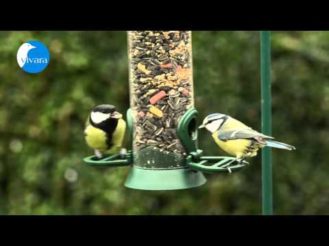 Gartenvögel an Vivara Kunststoff-Futtersäule