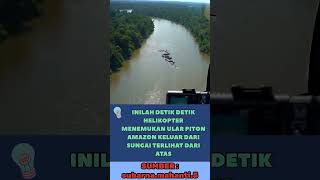 Download lagu PENAMPAKAN ULAR PITON TERBESAR DI SUNGAI AMZON !!!! ASLI APA HOAXX ???? #viralvideo #fypシ゚viral mp3 Download lagu PENAMPAKAN ULAR PITON TERBESAR DI SUNGAI AMZON !!!! ASLI APA HOAXX ???? #viralvideo #fypシ゚viral mp3