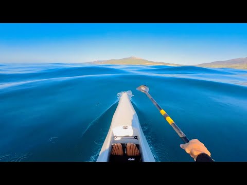 GLOSSY "DOWNWIND" SURFING