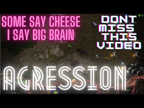 BROOD WAR 2023 ZVP CRAZY NEW BUILD FROM KOREA   BIG BRAIN STUFF