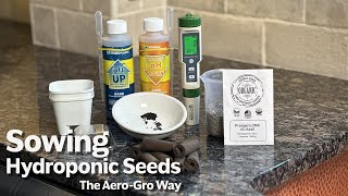 Sowing Seeds