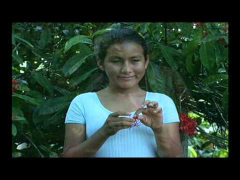 Por Tres Mujeres Yo Vivo - Dumar Aljure