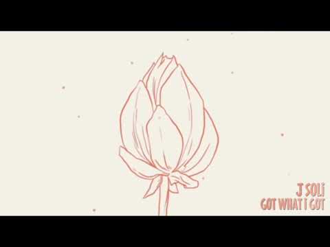 J Soli - Got What I Got (Visual)