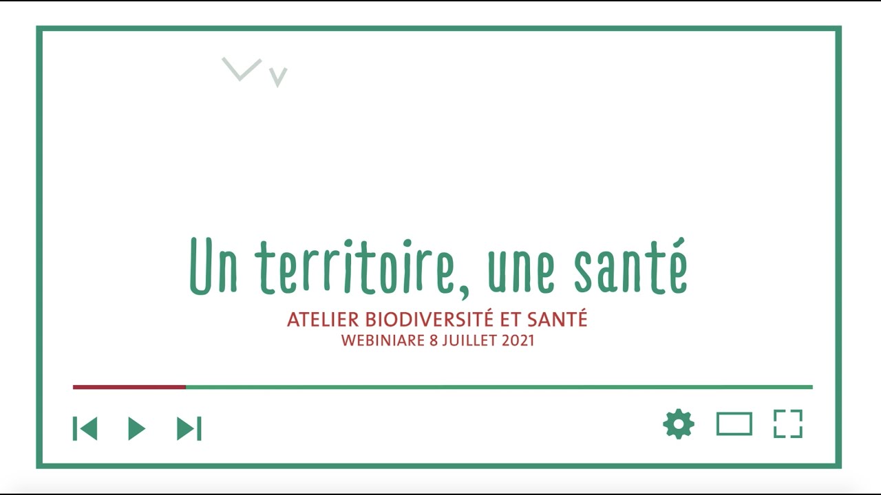 Atelier Biodiversité et santé