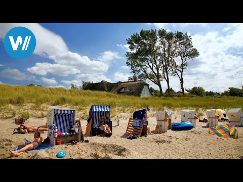 Küsten des Nordens (3/6): Von den Halligen nach Sylt | Dokuserie über Nord- und Ostsee