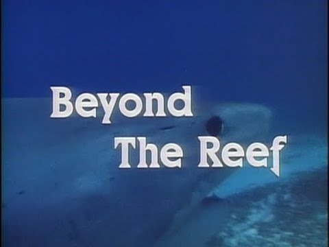 Beyond the Reef (1981) - Full film