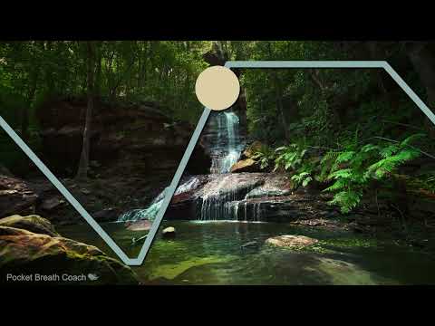 4-7-8 Breathing Timer