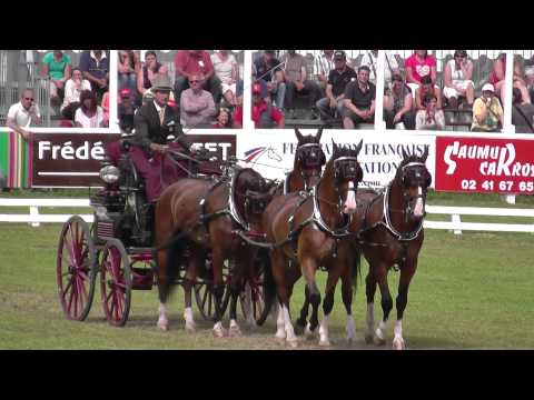 Chester Weber Dressage Saumur 2014