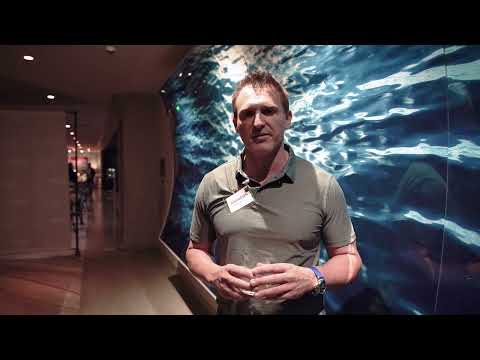 Testimonial video