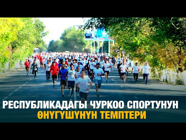 Республикадагы чуркоо спортунун өнүгүшүнүн темптери