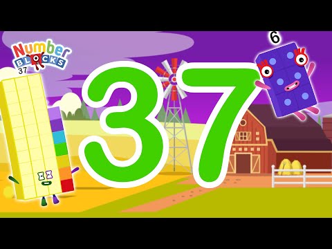 Numberblocks 37 Magic Run World Farm New Season | Numberblocks Find Missing Number