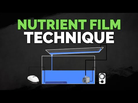 How to Prepare Water for Hydroponics