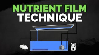 Thumbnail for video: Nutrient Film Technique (NFT) Hydroponics System Tutorial