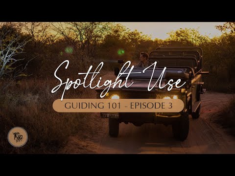 Spotlight use, hints & tips | Guiding 101