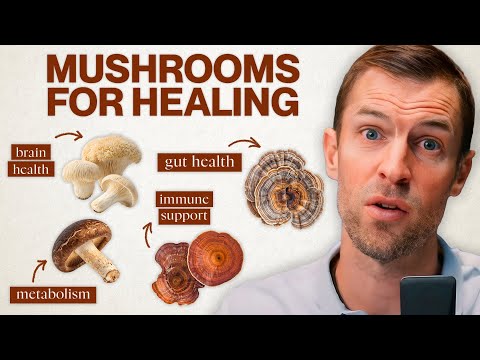 7 Mushrooms You Should Be Taking Daily