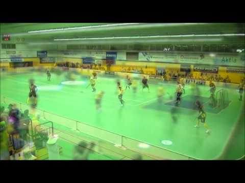 Maalikooste PSS - Indians.wmv