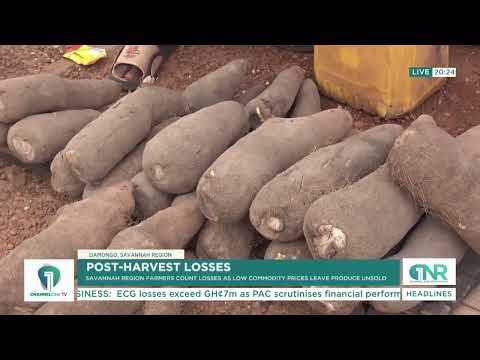 Savannah Region Farmers Count Losses as Crop Prices Decline