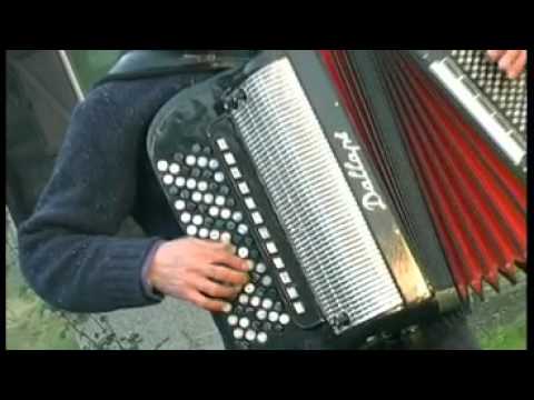 Nenad Ibrahimovic - Banjski Cacak