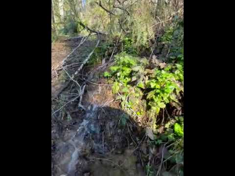 mini waterfall streams