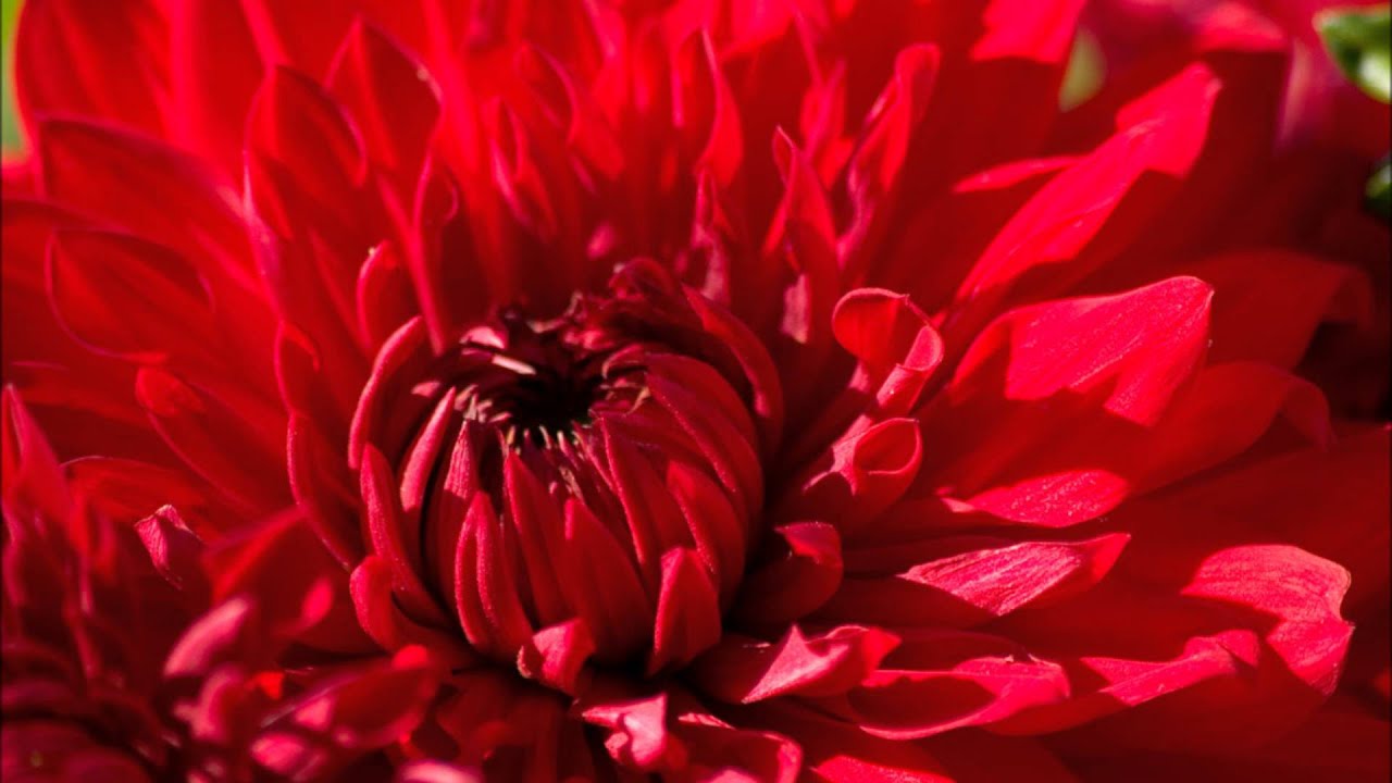 Abraham Hicks - Knowing what you want