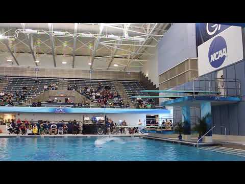 Garret Chew NCAA Diving National Championships