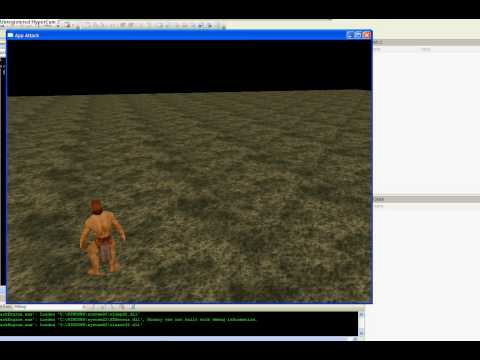 DirectX animation