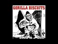 Gorilla Biscuits - High Hopes 4K HD