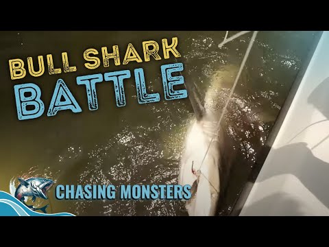 Invasive Species Causing Chaos! | Chasing Monsters