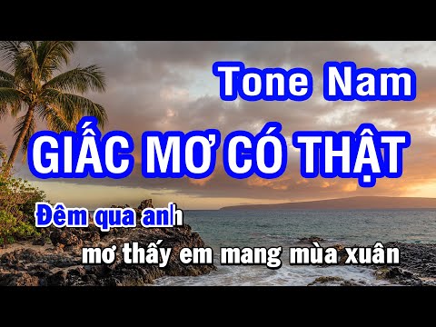 Karaoke Giấc Mơ Có Thật - Lệ Quyên | Tone Nam | Nhan KTV