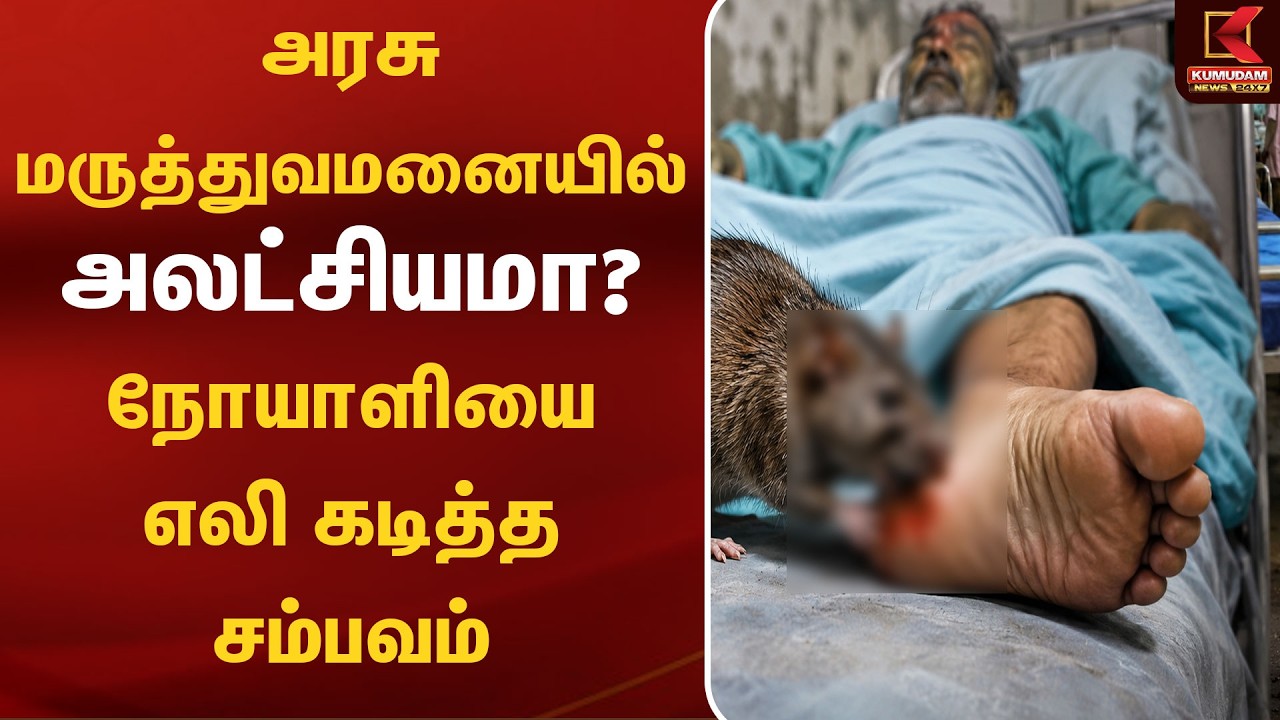 அரசு மருத்துவமனையில் அலட்சியமா? நோயாளியை எலி கடித்த சம்பவம் | Rate Bite | Government Hospital அரசு மருத்துவமனையில் அலட்சியமா? நோயாளியை எலி கடித்த சம்பவம் | Rate Bite | Government Hospital