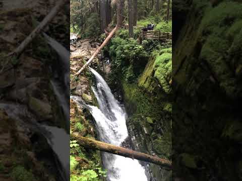 Sol Duc falls in action