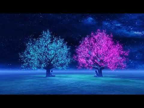 Artur Qerimi  - të dua