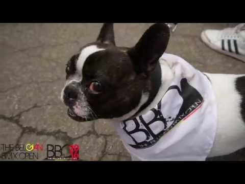 The Belgian Bmx open 2016 l Promo