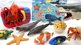 Learn Sea Animals With Wooden Puzzle! Shark Octopus Turtle Seehorse - Microwave Sea Animal Toys