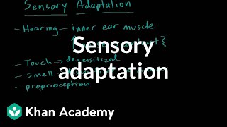 Sensory adaptation- Processing the Environment