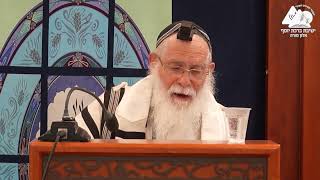 צריך ללמוד אחרי ברכת התורה | הרב אליקים לבנון | הלכות תפילת שחרית | 12 (ישיבת ברכת יוסף - אלון מורה) - התמונה מוצגת ישירות מתוך אתר האינטרנט יוטיוב. זכויות היוצרים בתמונה שייכות ליוצרה. קישור קרדיט למקור התוכן נמצא בתוך דף הסרטון