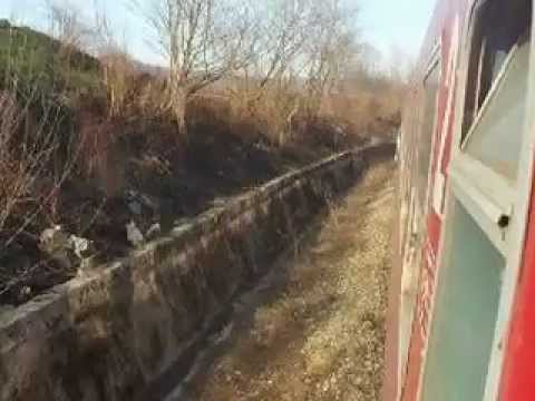 Sosire în gara din Coşteiu de Sus.