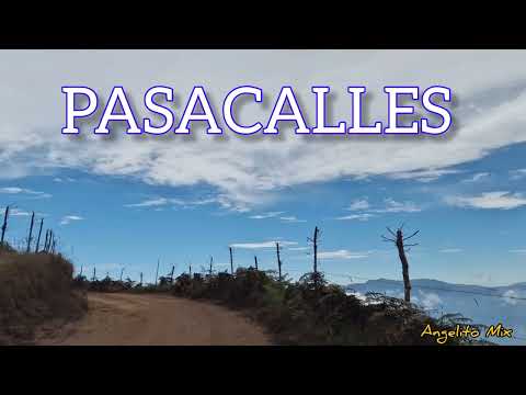 Pasacalles Ecuatorianos 