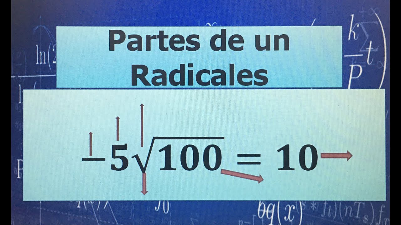 PARTES DE UN RADICAL/ ELEMENTOS QUE FORMAN UNA RAIZ; RAICES INTRODUCCION CON (EJEMPLOS)