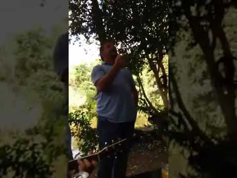 VALDOMIRO GARCIA VERSOS DE IMPROVISO PARA O AMIGO JACARE E AMIGOS DE MATELANDIA